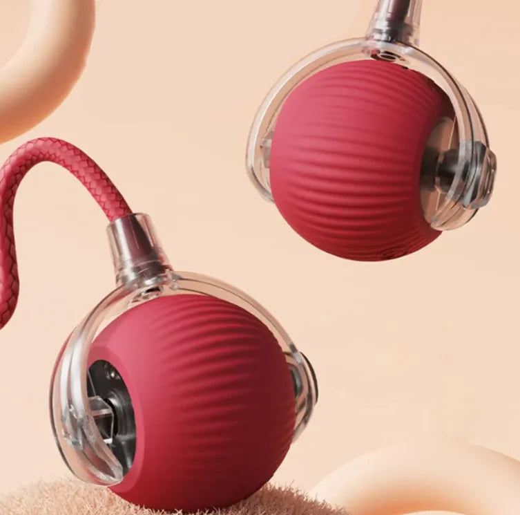 Pelota Rodante para Mascotas