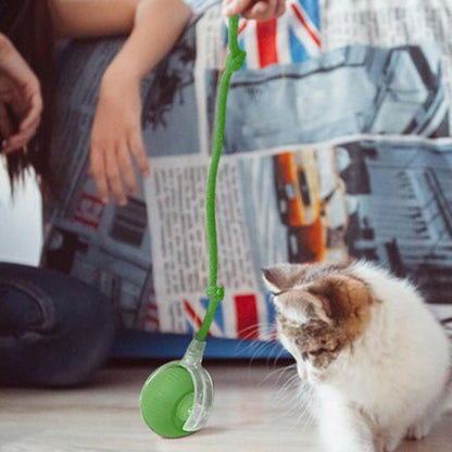 Pelota Rodante para Mascotas